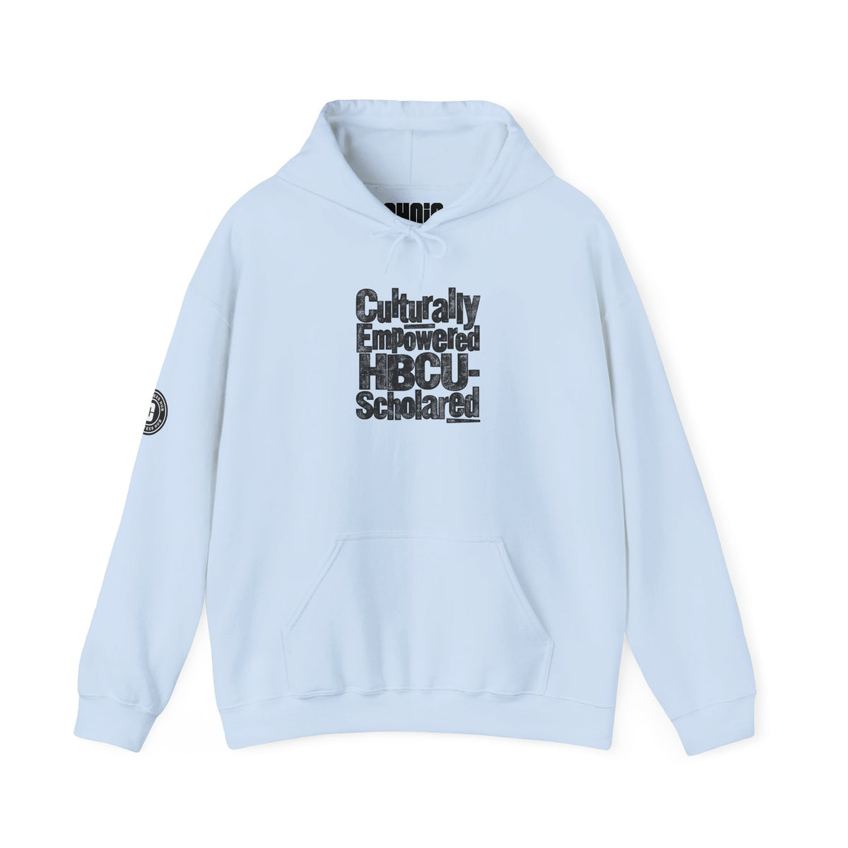 Culturally Empowered HBCU-Scholared Distressed Print Hoodie