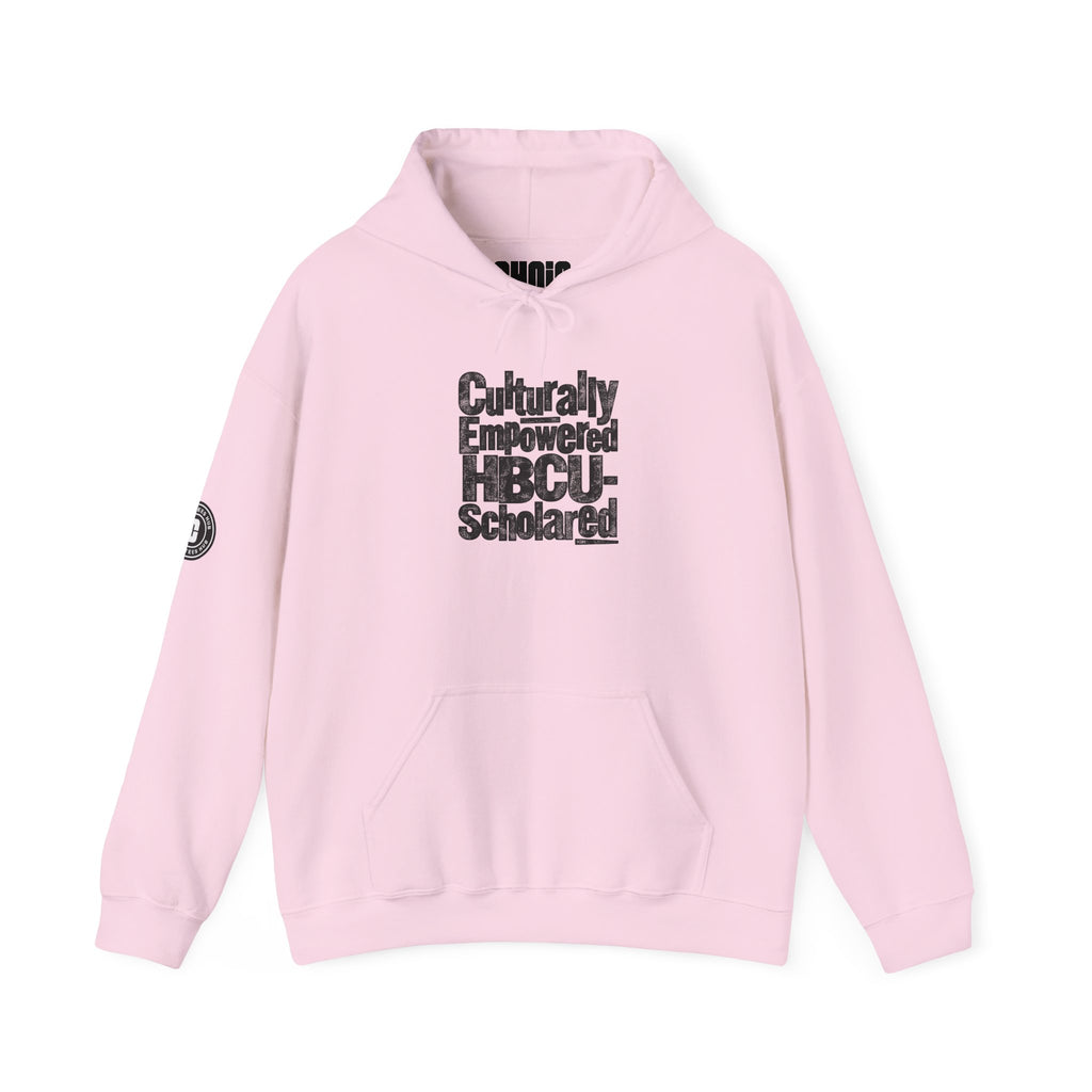Culturally Empowered HBCU-Scholared Distressed Print Hoodie